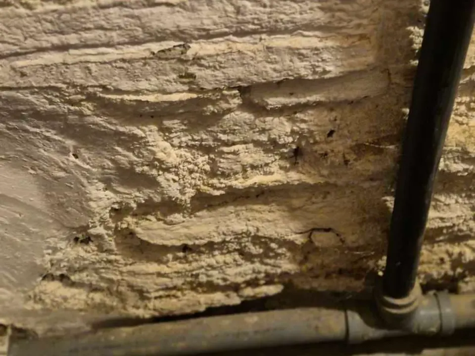 Salt deposits and spalling plaster on basement wall at initial inspection before works started