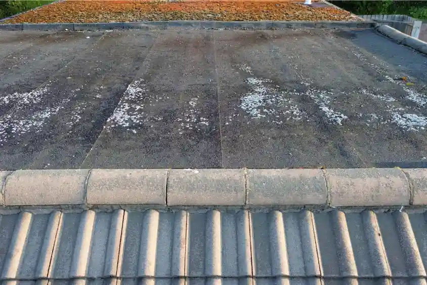 Drone survey of a flat roof showing moss and lichen growth